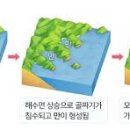 도시인