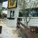 강릉아기동물농장 이미지