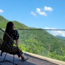 스테이9351 이미지