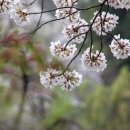 청평중앙로 이미지