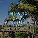 일단정지카센타 | 태국 치앙마이 렌트카 비용, 렌터카 고장나서 렉카 탄 후기