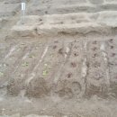 다둥이농장 이미지