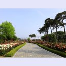 곡성-060 이미지