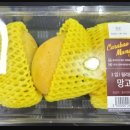 주식회사 의연 이미지