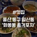 푸른바다찜탕일산점 | [울산 일산동 맛집] 화봉동 총각포차 일산지점 야외 실내 포차 연탄불고기 쫀드기