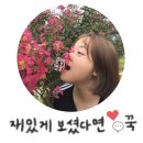 안동CGV - 안동영화관 리클라이너 좌석 용상 cgv 새단장 솔직후기