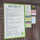 비발디 캠핑파크 이미지