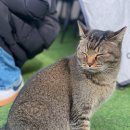 숲길FORESTWAY 네이버블로그
