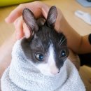 첨단2주거1호근린공원 이미지