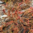 노일보건진료소 이미지