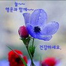 7월 28일 월요일 간추린 뉴스와 날씨 이미지