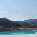 도그라운드 | 청평 애견동반 무아레 도그라운드 팬션 내돈내산 솔직후기 입니다