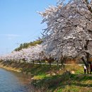 고남저수지 이미지