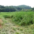 삼월리 경로당 이미지