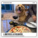 피자뷰 | 서귀포 애견동반맛집 나폴리피자 🐶 화덕피자 &amp; 바다뷰 즐긴 후기