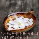 현숙한 여인 (잠언31장10절) 이미지