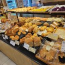 수원-0445 | 🍞 뚜레쥬르 T고객 감사제 다녀온 후기 (수원 정자 블루밍점)