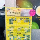 쁘띠프루츠 - 5273 | 쁘띠프루츠