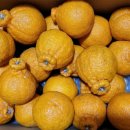 금장농장 이미지