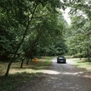 태백고원자연휴양림 자동차야영장 이미지