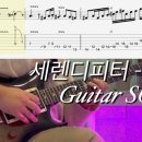 세렌디피터 이미지