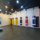 장관식복싱GYM 이미지