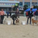 금강수조