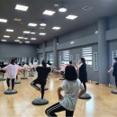 (상반기)발레핏 뉴시스