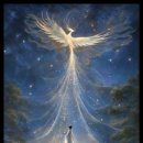 강남-291 이미지