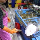 선수수산 이미지