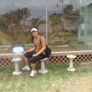 바다와소나무 펜션 이미지