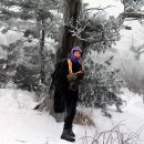 태백산가든 이미지