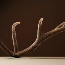 현수한의원 이미지