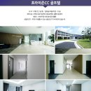 포라이즌 이미지