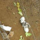 젤미공원 이미지