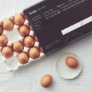 인재마켓 이미지