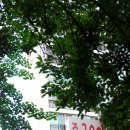 대교반점 - 영등포구 국제금융로7길 22 | 대교반점