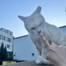 닥터올웨이즈피부과의원 이미지