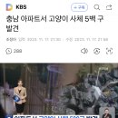 충남 아파트서 고양이 사체 5백 구 발견 이미지