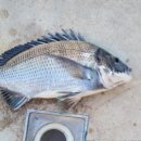 블루오션민박 이미지