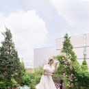 르블랑(LE BLANC) 네이버블로그