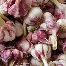 농민건강원 이미지