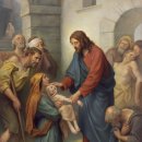 겟세마니 동산 이미지