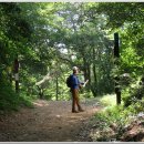 갈맷길 5코스 5-2구간 이미지