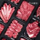우품 이미지