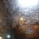 항아리왕족보쌈 이미지