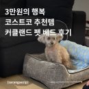 펫더스타일 | 코스트코 소형견 강아지 침대 추천 | 커클랜드 펫 소파 방석 4개월 실사용 후기