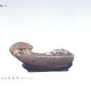 석향
