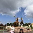 포니랜드 | 과천 아이랑, 레츠런파크 경마공원 포니랜드 방문후기