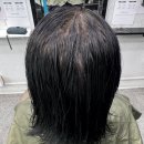 이회령헤어